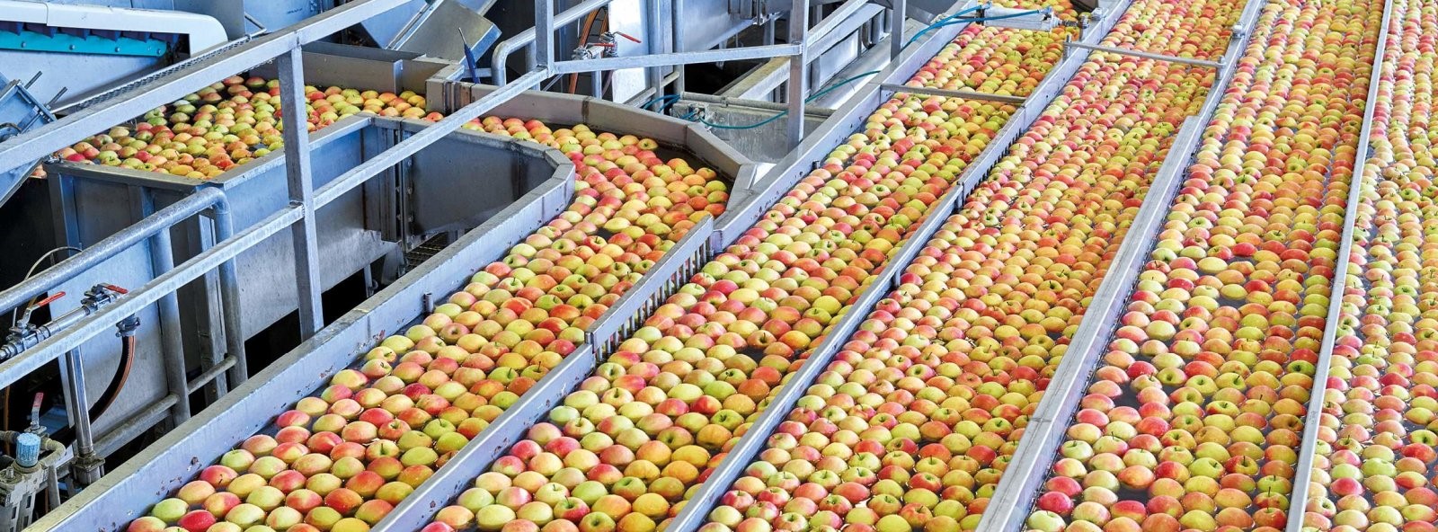 fruit-processing